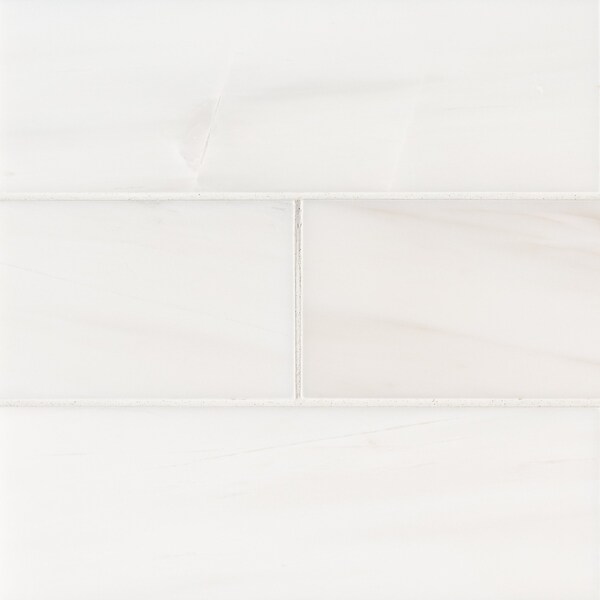Msi Bianco Dolomite Subway 3 In. X 6 In. Polished Marble